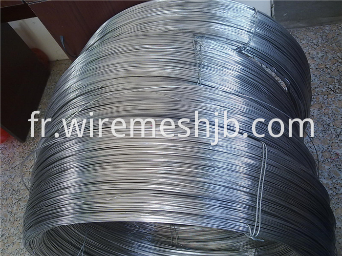 Stainless Steel Soft Wire